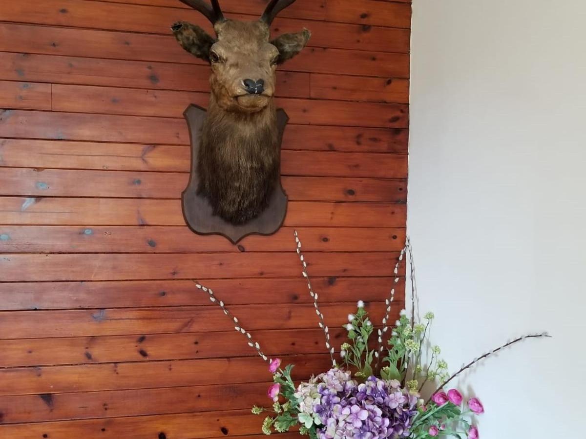Glenan Lodge Self Catering Tomatin エクステリア 写真
